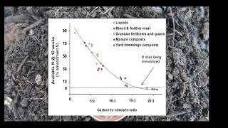 Managing Nitrogen on Organic Vegetable Farms