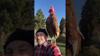 Download Lagu Onze Profeet (vrede zij met hem) heeft ons verteld dat degenen die het dichtst bij Allah staan, d... MP3