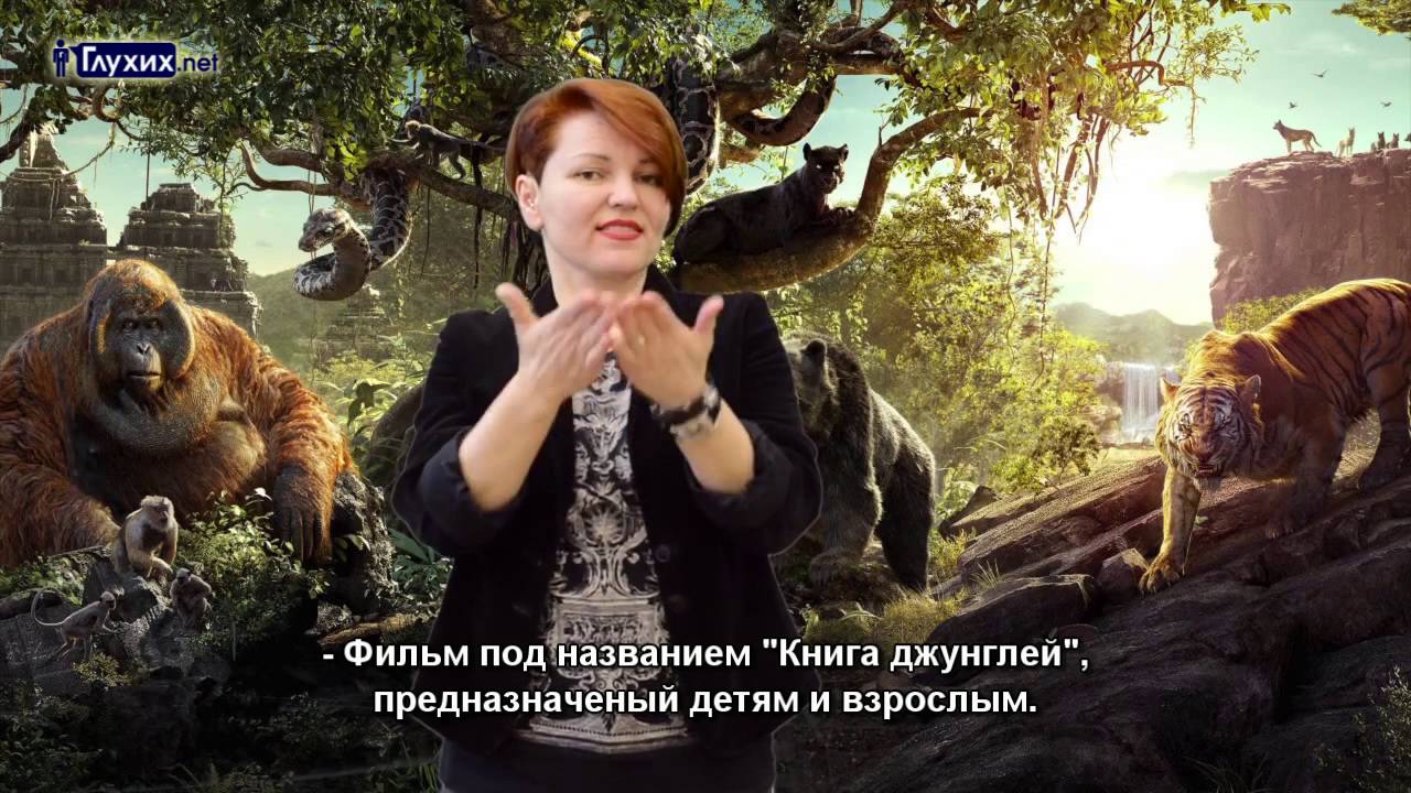 Киноафиша солярис на братиславской