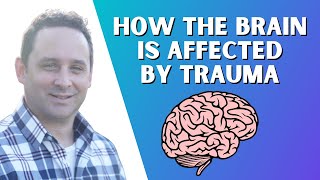 How The Brain Is Affected by Trauma