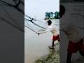Catching 30 kg of catfish with a gill net #fishing #fish #shorts #catfish
