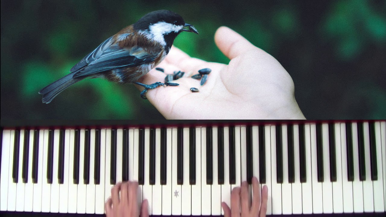 Free Free Summer Songs Youtube 58 SVG PNG EPS DXF File