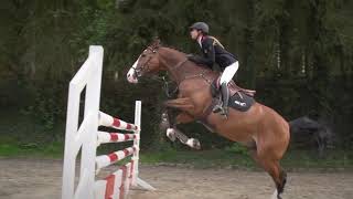 REITTV Teach Me - Online horse riding lessons by REITTV 12,078 views 2 years ago 54 seconds