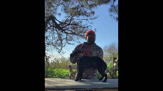 Patterdale Terrier Stretching Her Legs Full Video