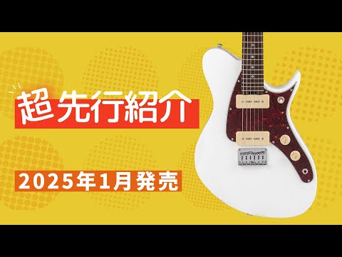 アリアプロ 2 エレクトリックギター メタリックグレー AriaPro2 / アリアプロ2 エレキギター | 島村楽器オンラインストア
