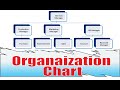 Build an Organizational Chart in MS Word Like a Pro | The Office Mentor