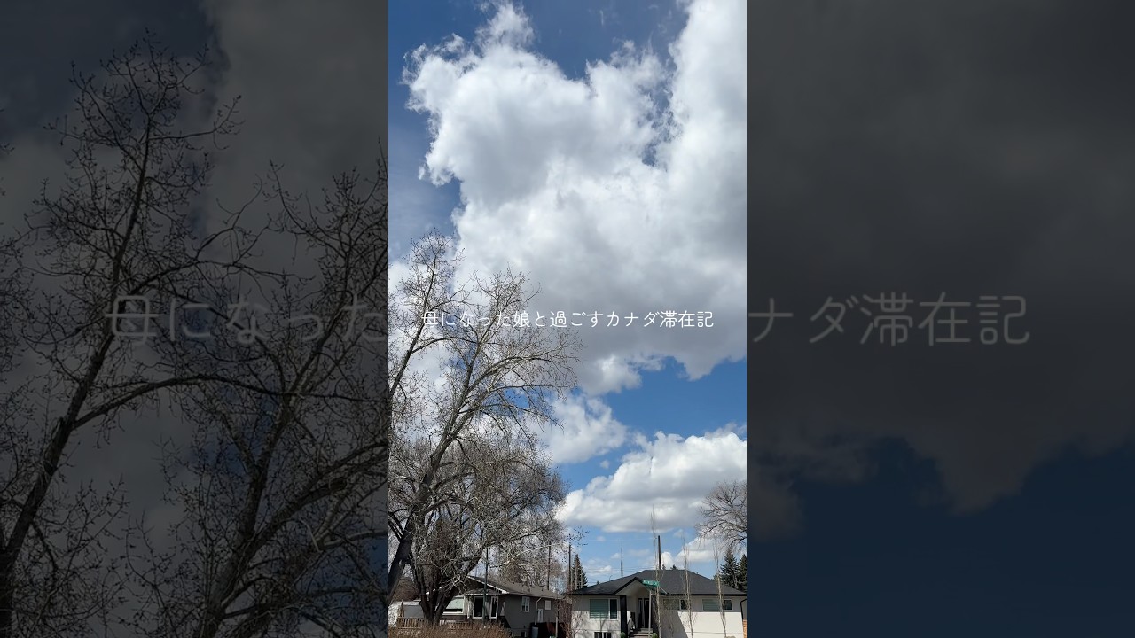 【母になった娘】カナダ滞在記#50代の暮らし#おばあちゃんになりました#shorts