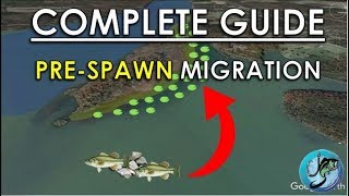 Easy Guide to PreSpawn Bass Fishing | Best Spring Fishing Areas