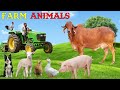 Aprenda os Sons dos Animais da Fazenda 🐄 - Diversão e Educação para Crianças