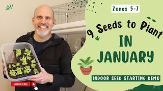 9 Seeds You Can Plant Indoors in January