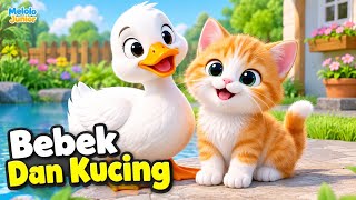Bebek Dan Kucing 🦆🐱 | Lagu Anak Indonesia | Lagu Anak-Anak Lucu dan Ceria | Melolo Junior