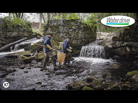 Video: Mikä on vesistön määritelmä?