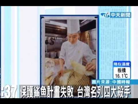 保護鯊魚計畫失敗 台灣名列四大殺手