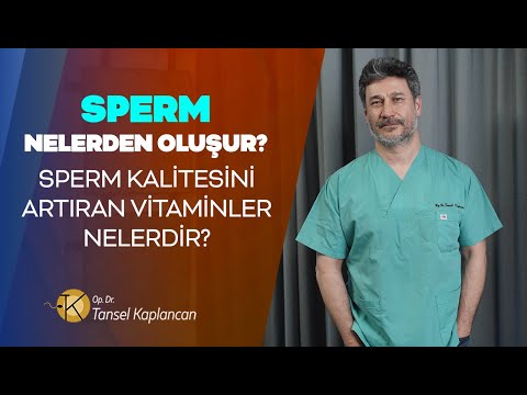 Sperm nelerden oluşur? Sperm kalitesini artıran vitaminler nelerdir?