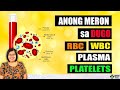 Ano Meron Sa Dugo RBC WBC Platelets Plasma Tagalog Health Nurse Dianne