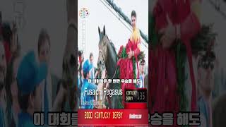 세계에서 가장 비싼말 #shorts