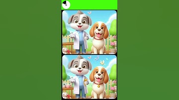 find the differences Part 5 #shorts   #findthedifferences