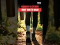 Morning Walk vs Evening Walk – BP Par Kya Farq Padta Hai? | @HealthDietDuoHindi​