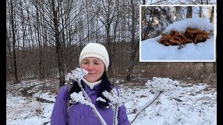 Яка ж чудова знахідка зимових грибів! Про фламмуліну та новий смачний рецепт.