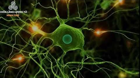 Nhạc Offering - Chữa lành lượng tử| Hoàng Minh Thơ