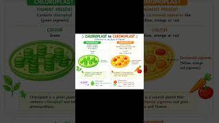 class 9 sciences difference between chloroplast and chromoplast
