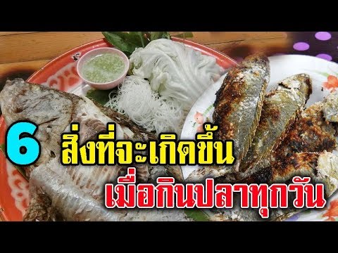 กินปลาได้ประโยชน์อย่างไร? 6 สิ่งนี้จะเกิดขึ้นกับร่างกาย เมื่อคุณกินปลาทุกวัน เป็นประจำ