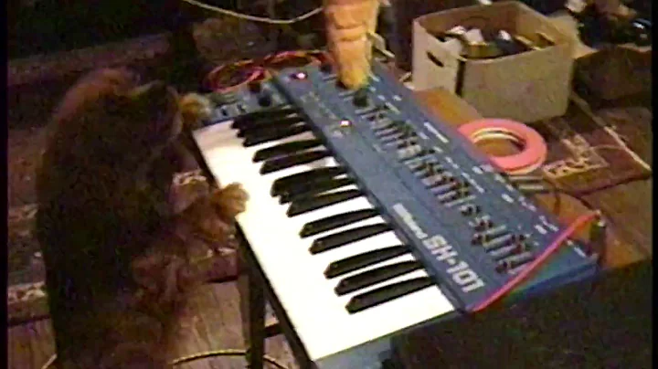 Molly the Dog Plays a Synthesizer with Serge from ...
