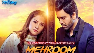 MEHROOM EPISODE 40 PROMO | MEHROOM EPI 40 REVIEWS | GEO DRAMA MEHROOM NEW PROMO