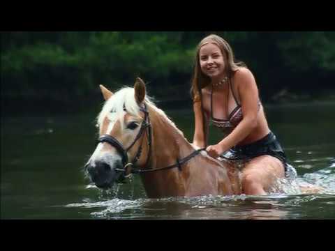 Schwimmen mit dem Pferd || Badespaß im See