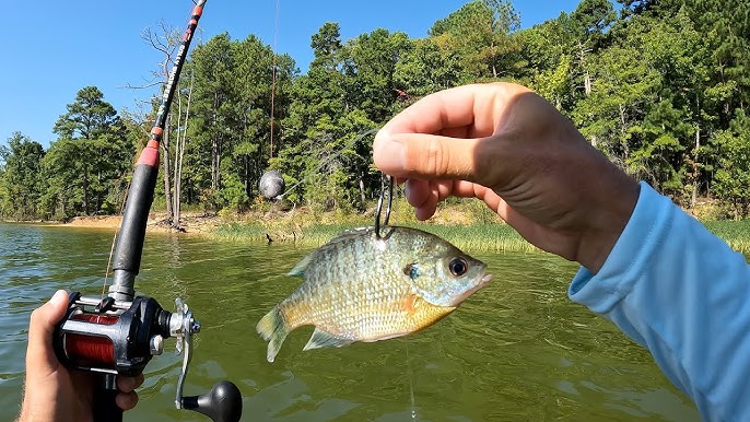 The Truth About Big Cat Fever Trolling Rods 