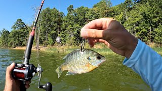 Catfishing for Money  Kerr Lake North Carolina