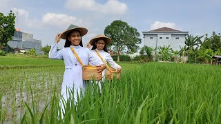 Download Lagu GITA SANG SURYA, Komunitas Fonte Colombo, Yogyakarta MP3