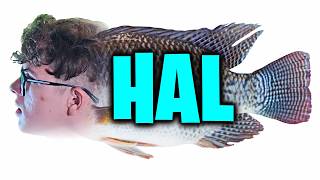 Download Lagu hal lettem. MP3 Download Lagu hal lettem. MP3