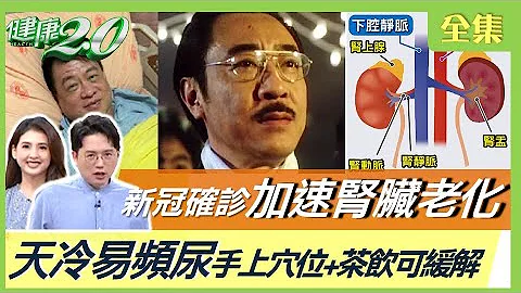 金馬影帝罹膀胱癌逝 9成血尿難察覺！新冠確診加速腎臟老化3~4年！天冷易頻尿 手上穴位+茶飲可緩解！吃太鹹易水腫 小心高血壓、腎衰竭！減鹽石頭火鍋 心腎無負擔！健康2.0 20221105 (完整版) - 天天要聞