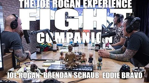 Joe Rogan Experience - Fight Companion - April 28, 2018