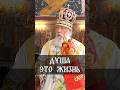 Душа – это жизнь | еп. Августин (Анисимов)