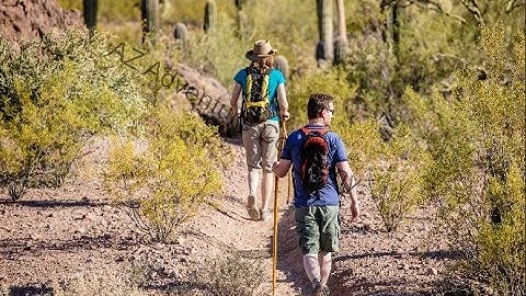 How to add a watermark on your photos using using PicMonkey