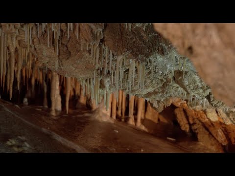 Wideo: Jak duża jest Jaskinia Jelenia na Borneo?