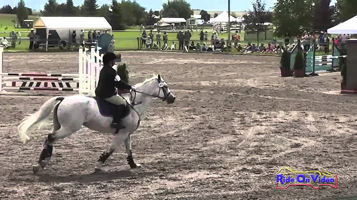 491S Meghan Faherty SR Novice Show Jumping The Eve...
