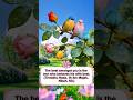 The One Who Is Best to His Wife #hadith #wife #islamicmessage #hadiths #goodness #noble #character