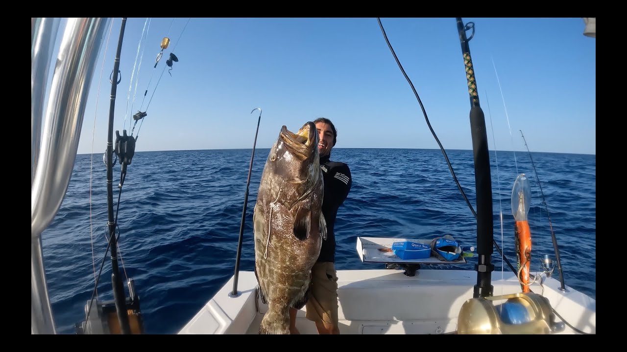 commercial spearfishing 2024 YouTube