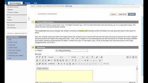 Creating a Video Message on Blackboard