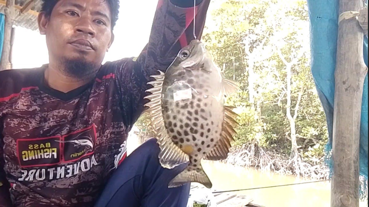 SPOT GACOR, TEMPAT PEMBIBITAN RUMPUT LAUT