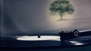 Download Lagu Genesis - One For The Vine (Vinyl LP) MP3