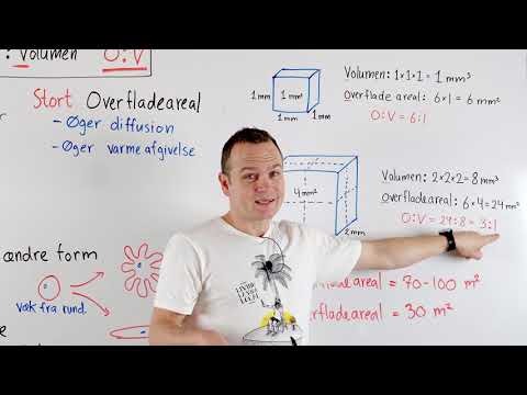 Video: Hvad er volumenforholdskemi?