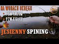 JESIENNY SPINING - Szczupaki i Okonie na tanie przynęty