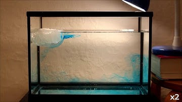 Simulation circulation thermohaline