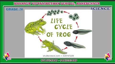 Grade IV - Science - Chapter 3 - Animals How Life Goes On - Part 2 - 09-09-2020