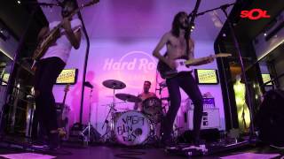 Sexy Zebras "TNT" (A Solas en Hard Rock Cafe) - Directo