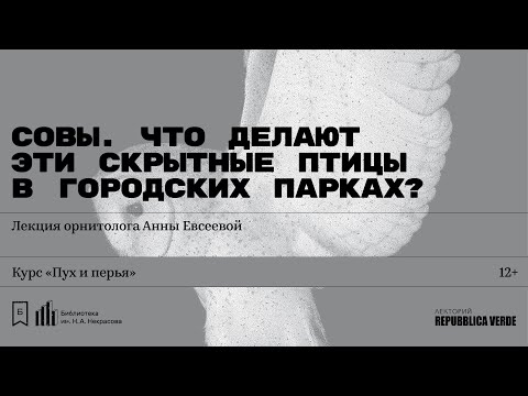 «Совы. Что делают эти скрытные птицы в городских парках?» Лекция орнитолога Анны Евсеевой